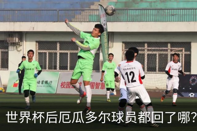 世界杯后厄瓜多尔球员都回了哪？输给墨西哥后他们各归其主