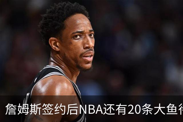 詹姆斯签约后NBA还有20条大鱼待捞：哈登杜伦领衔，超市刚开门